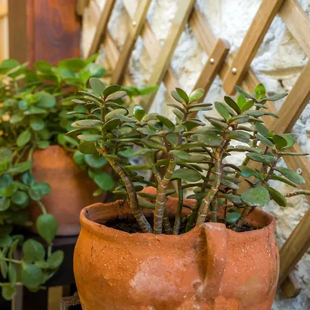 Hidden Luxury 2br With Terrace * ספליט