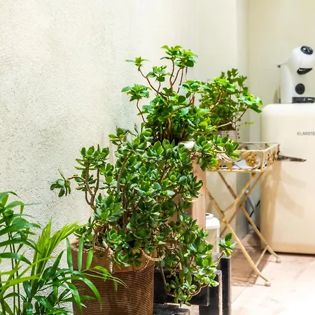 Hidden Luxury 2br With Terrace Appartamento